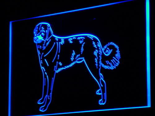 Anatolian Dog Pet Shop Neon Light Sign